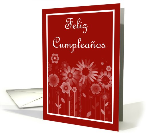 Feliz Cumpleaos Birthday Spanish Birthday card with... (830866)