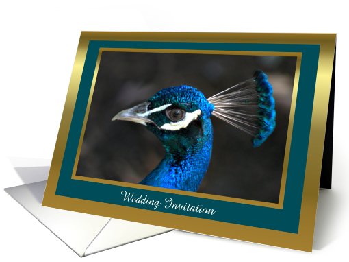 Peacock Wedding Invitation with dark teal custom card (907215)