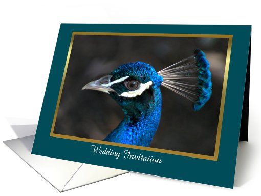 Peacock Wedding Invitation with dark teal custom card (907216)