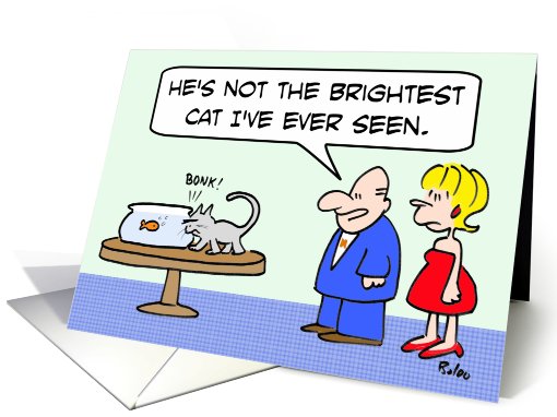 Not the brightest cat card (733424)