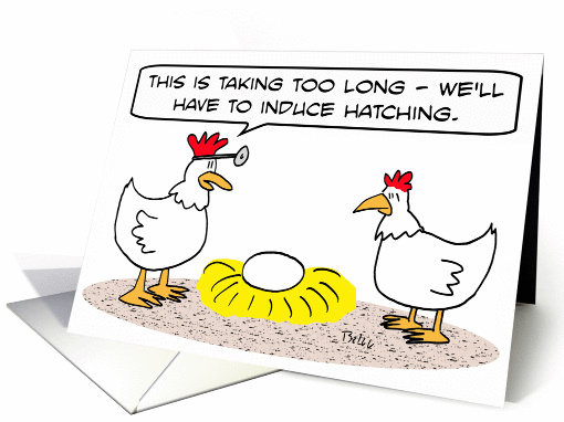 Chicken doctor induces hatching of egg. card (834445)