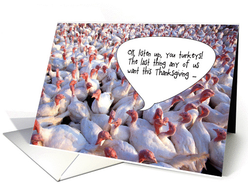 Thanksgiving Stuffed Turkey Humor card (1193084)