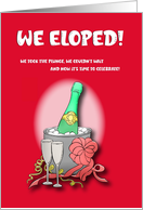 We Took the Plunge Elopement Announcement card
