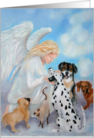 Heaven-Pet Loss-Everyone Welcome-Angel-Rainbow Bridge,Thinking of You card