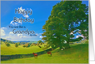 Like a Grandpa, Birthday, Landscape Painting with Horses card