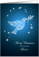 For fiance, Dove of peace Christmas card