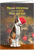 Mom and Dad, a Cute Cat in a Christmas Hat. card
