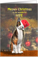 Wife, a Cute Cat in a Christmas Hat. card