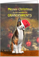 Grandparents, a Cute Cat in a Christmas Hat. card