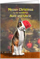 Aunt and Uncle, Cute Cat in a Christmas Hat. card