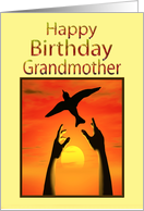 Grandmother, Birthday, Freeing a Bird card