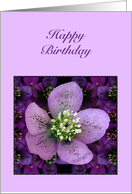 Birthday with a Purple Flower card