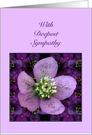 Lenten Rose Sympathy card