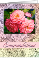 Congratulations Old Fashioned Roses card