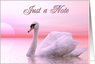 An elegant pink swan card