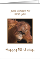 Birthday, Orang Utan Jokes card