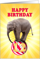 12th birthday Elephant on a Ball card