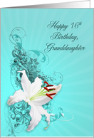 16th Birthday,Granddaughter,White Lily card