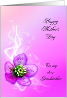 Mother’s Day, Grandmother, Purple Helebore Flower card