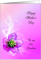 Mother’s Day, Grandma, Purple Helebore Flower card