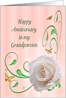 Grandparents Anniversary, White Rose card