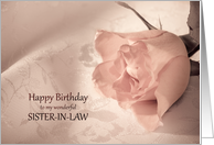 Sister-in-Law, Birthday with a Pink Rose card