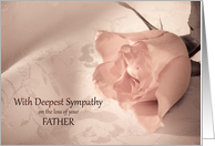 Sympathy Loss of Father, Pink Rose card