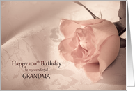 100th Birthday, Grandma, Pink Rose card