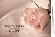 70th Birthday, Grandma, Pink Rose card