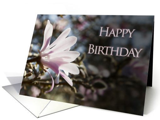 Birthday card with magnolias card (609854)