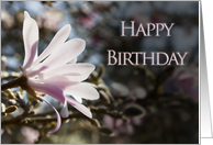 Birthday card with magnolias card