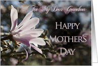 For Grandma, a Mother’s Day card with magnolias card