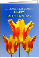For my Birth Mother, a Mother’s Day with Tulips Full of Sunshine card