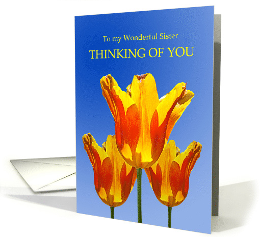 Thinking of You, Sister, with Tulips Full of Sunshine card (619391)