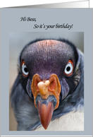 Boss Funny Vulture Birthday card