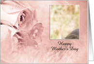 Pink Roses Mother’s Day Photo card