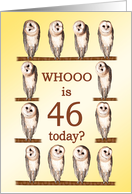 46th Birthday, Curious Owls card