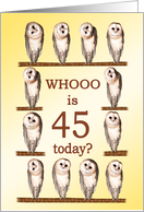 45th Birthday, Curious Owls card