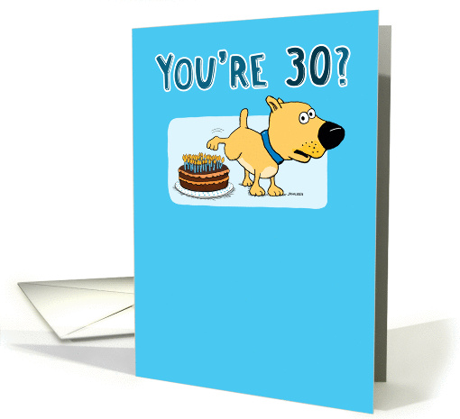 Funny 30th Birthday card (1296268)