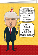 Funny Cake Wall Birthday card