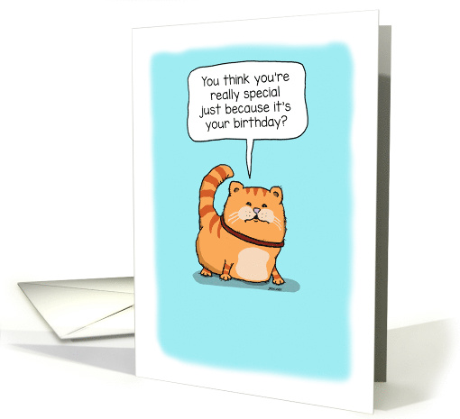 Cute Cat Has a Special Birthday Message card (1584304)