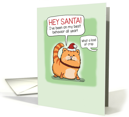 Cat Lies to Santa Claus Funny Christmas card (1590200)
