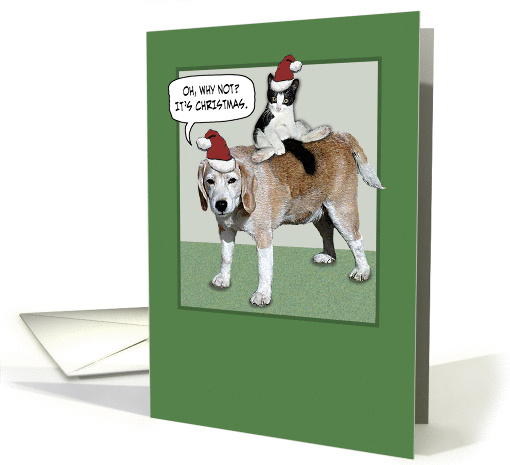 Dog and Cat Christmas card (299002)