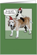 Dog and Cat Christmas card
