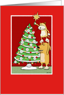 Cute Christmas card: Cat and Dog card