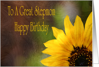 Birthday Card For Stepmom card