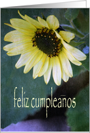 Spanish Yellow Sunflower Birthday Card