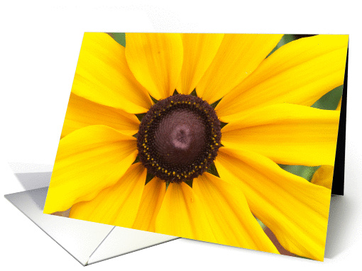 Sun Worship card (214623)