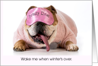 Wake Me When Winter’s Over Bulldog In Pink Beauty Mask card
