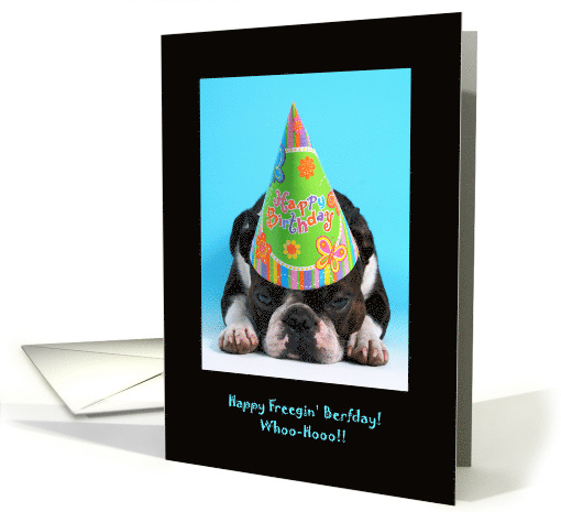 Happy Freegin Berfday Dog In Birthday Party Hat card (1210718)